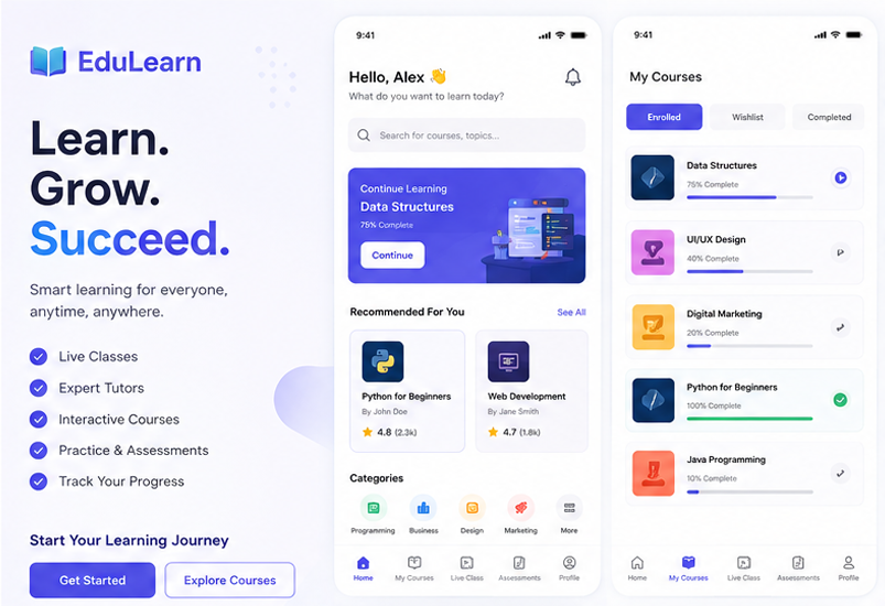EdTech Platform software interface